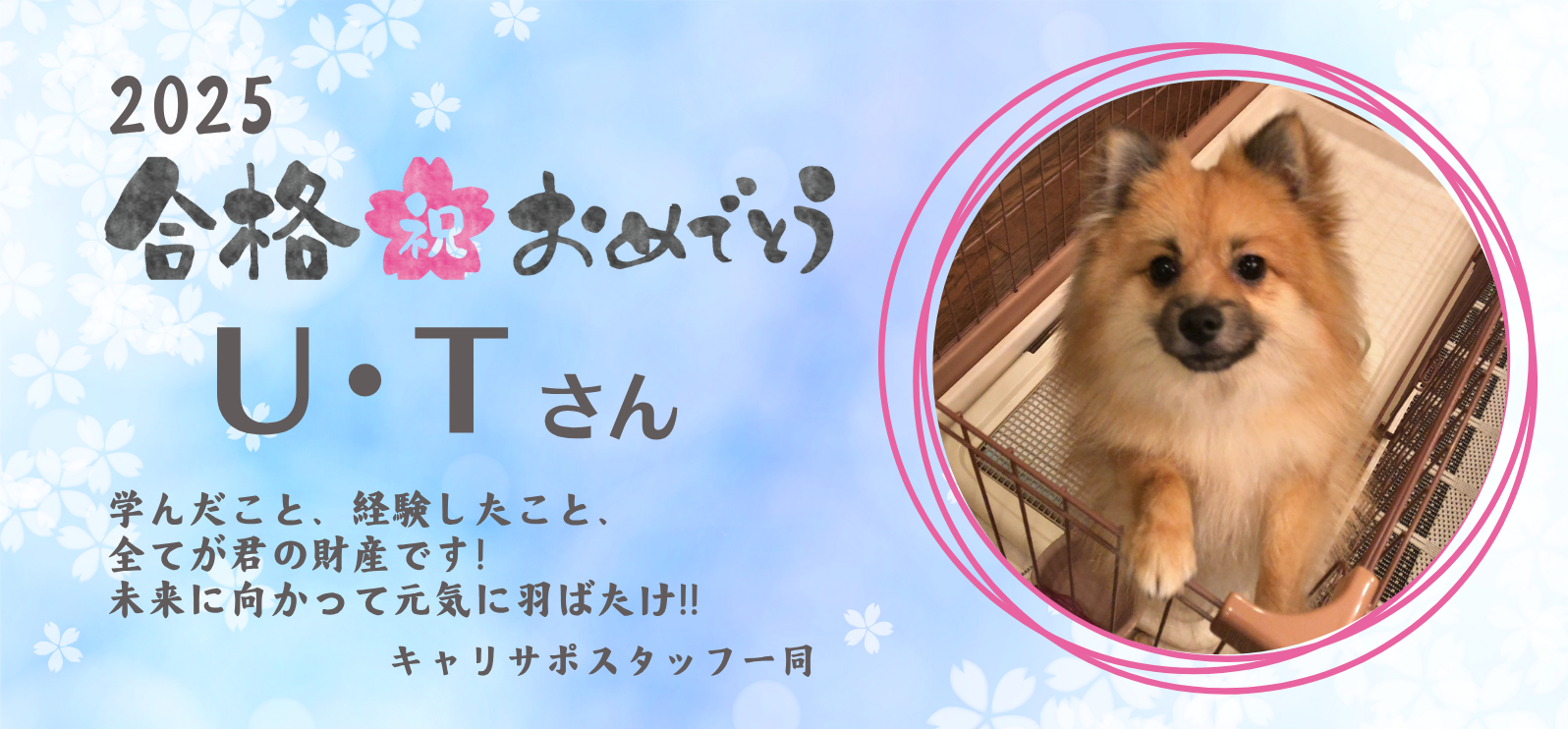 U.Tさん（国家一般職）