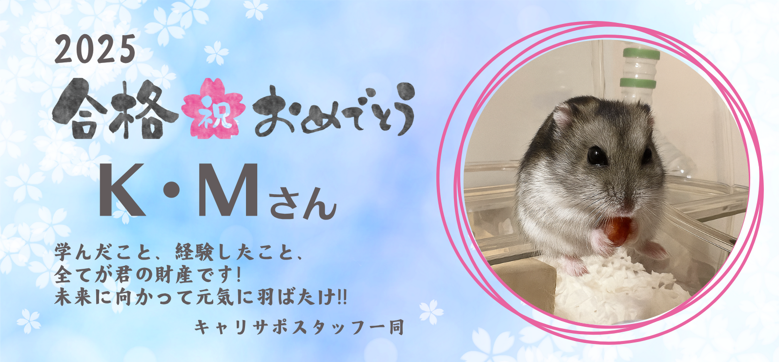 キャリサポ – 公務員試験専門予備校